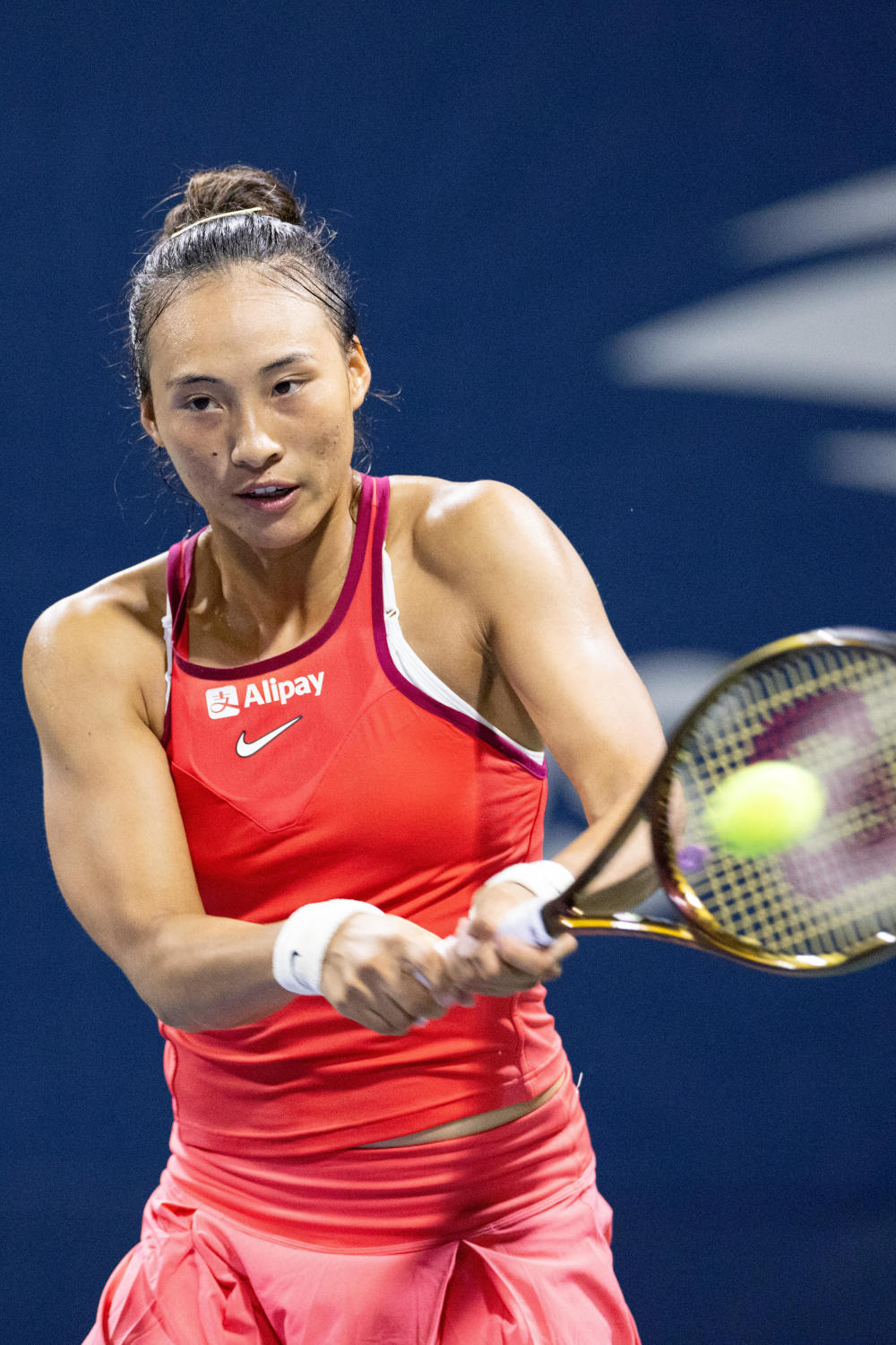 您不仅可以 您不仅可以