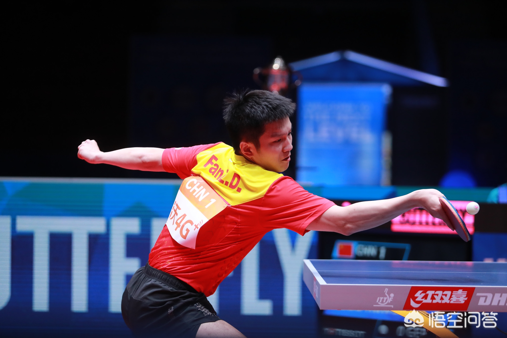 竟是福是祸 竟是福是祸